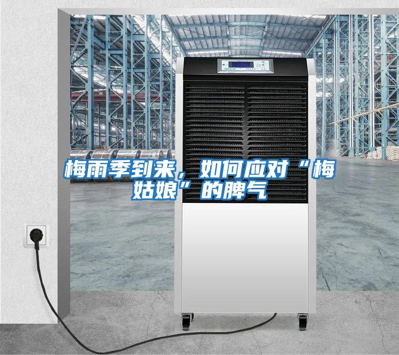 梅雨季到來，如何應對“梅姑娘”的脾氣