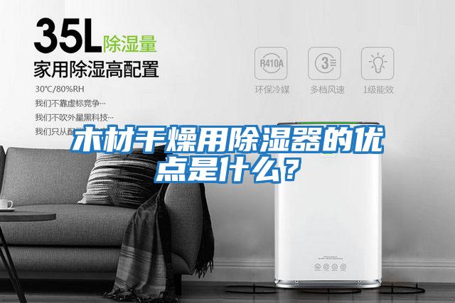 木材干燥用除濕器的優點是什么？