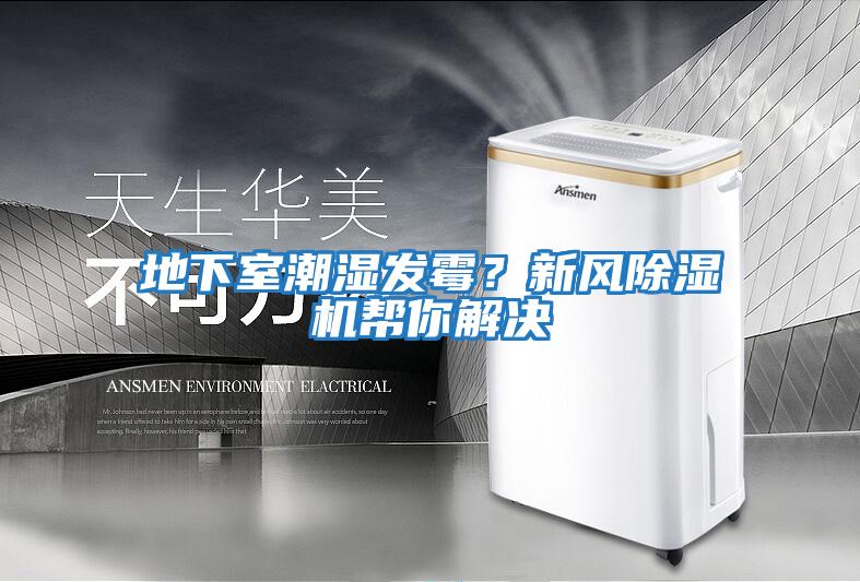 地下室潮濕發(fā)霉？新風(fēng)除濕機幫你解決