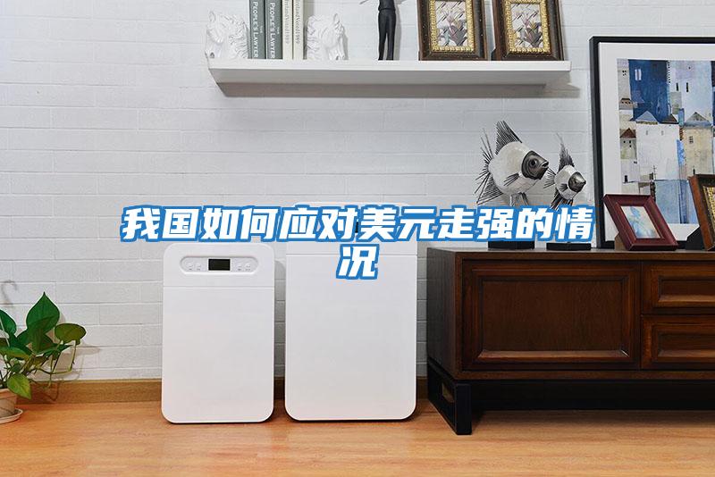 我國如何應(yīng)對美元走強的情況