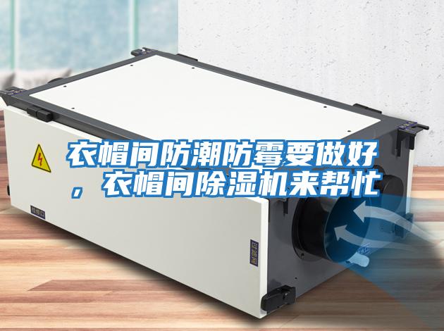 衣帽間防潮防霉要做好,衣帽間除濕機(jī)來(lái)幫忙