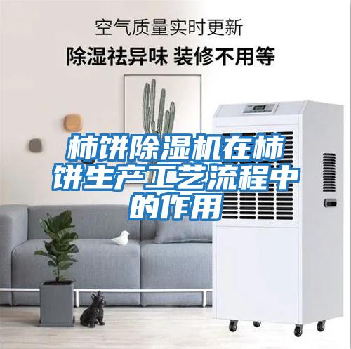 柿餅除濕機在柿餅生產工藝流程中的作用