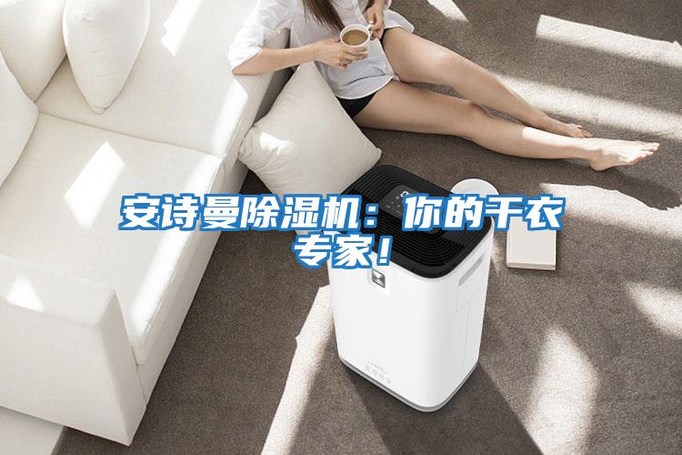 安詩曼除濕機(jī)：你的干衣專家！