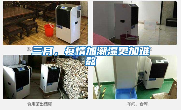三月，疫情加潮濕更加難熬