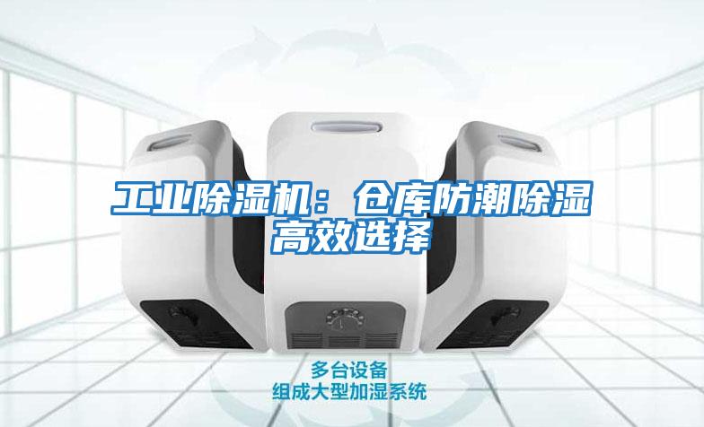 工業(yè)除濕機(jī):倉(cāng)庫(kù)防潮除濕高效選擇