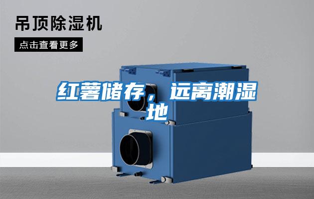 紅薯儲(chǔ)存，遠(yuǎn)離潮濕地