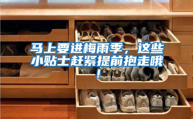 馬上要進梅雨季，這些小貼士趕緊提前抱走哦！