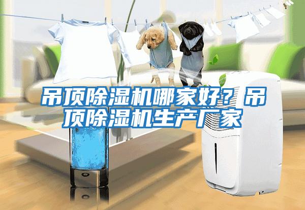 吊頂除濕機哪家好？吊頂除濕機生產廠家