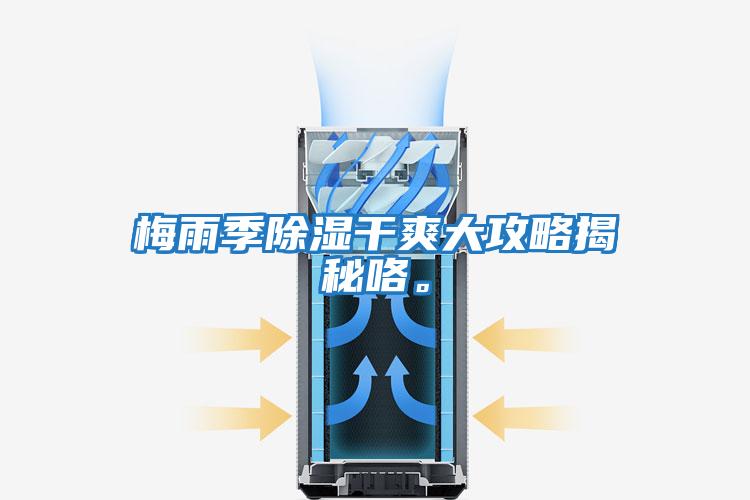 梅雨季除濕干爽大攻略揭秘咯。