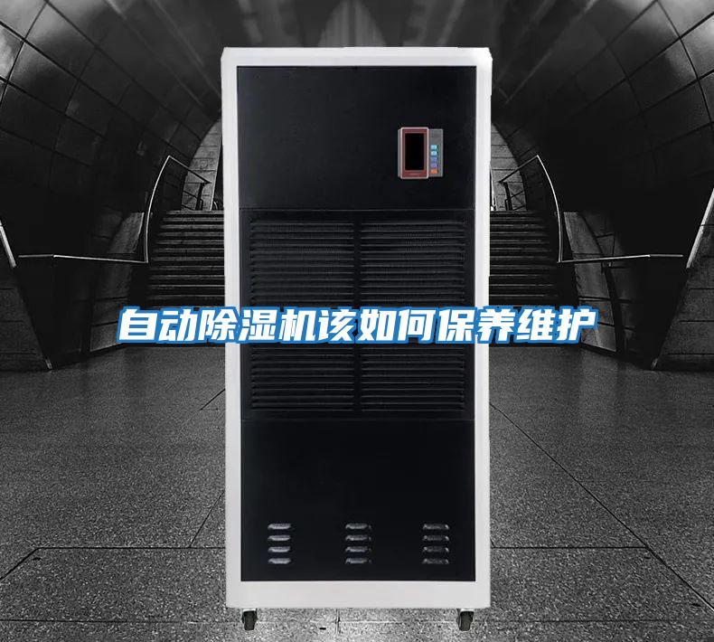 自動除濕機該如何保養維護