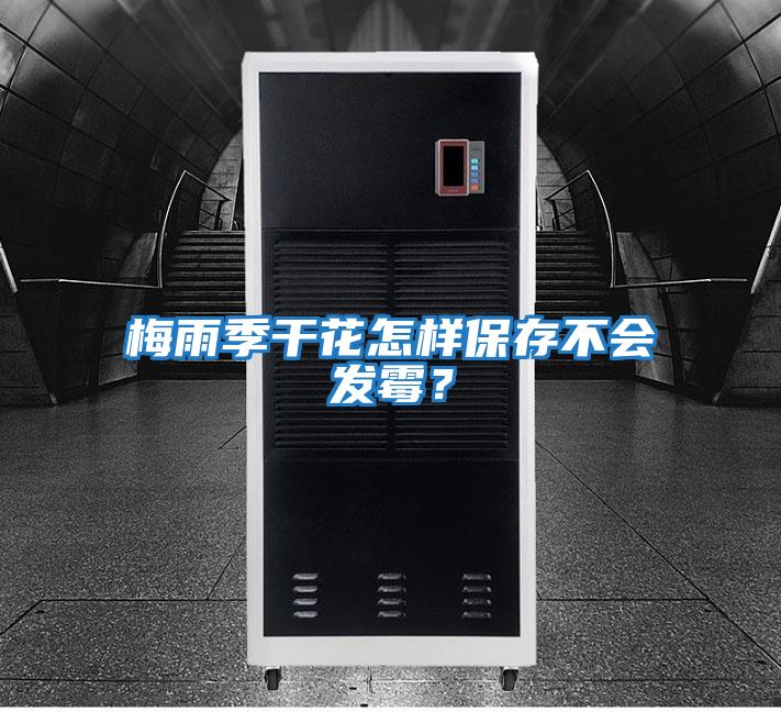 梅雨季干花怎樣保存不會發(fā)霉?