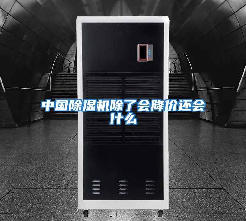 中國除濕機(jī)除了會(huì)降價(jià)還會(huì)什么