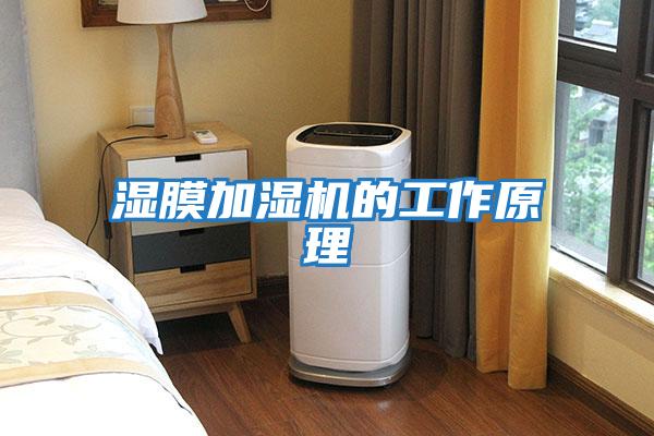 濕膜加濕機(jī)的工作原理
