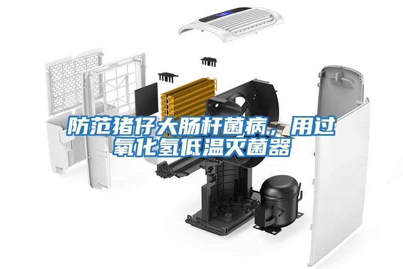 防范豬仔大腸桿菌病，用過氧化氫低溫滅菌器