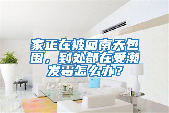 家正在被回南天包圍,到處都在受潮發霉怎么辦?