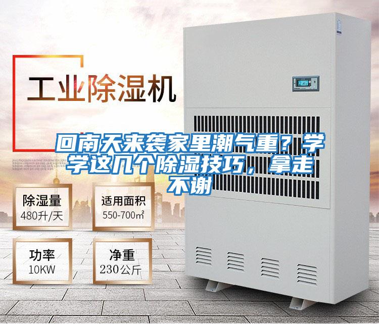 回南天來襲家里潮氣重?學(xué)學(xué)這幾個除濕技巧,拿走不謝