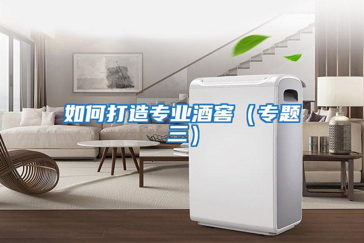 如何打造專業酒窖（專題三）