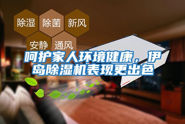 呵護(hù)家人環(huán)境健康，伊島除濕機(jī)表現(xiàn)更出色