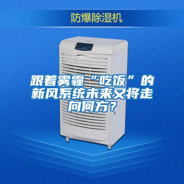 跟著霧霾“吃飯”的新風系統(tǒng)未來又將走向何方?