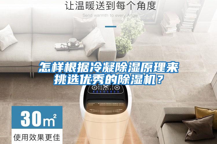 怎樣根據冷凝除濕原理來挑選優秀的除濕機？