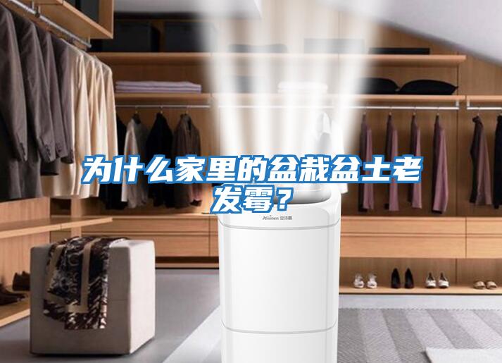 為什么家里的盆栽盆土老發霉？