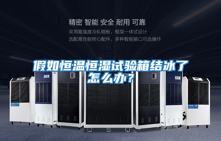 假如恒溫恒濕試驗箱結冰了怎么辦?