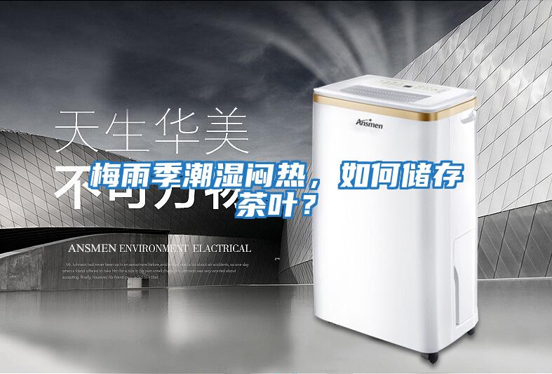 梅雨季潮濕悶熱，如何儲存茶葉？