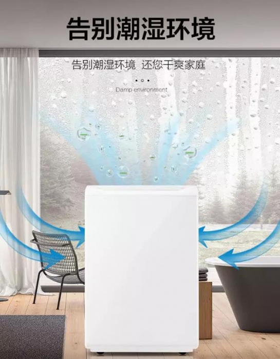 南方進入回南天，多肉植物這樣養(yǎng)才不會有事！