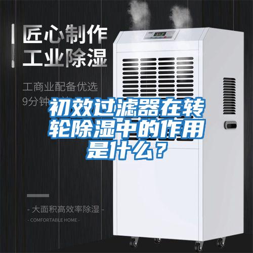 初效過濾器在轉輪除濕中的作用是什么？
