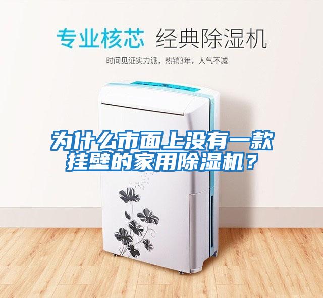 為什么市面上沒有一款掛壁的家用除濕機？
