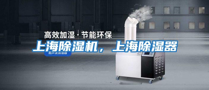 上海除濕機，上海除濕器