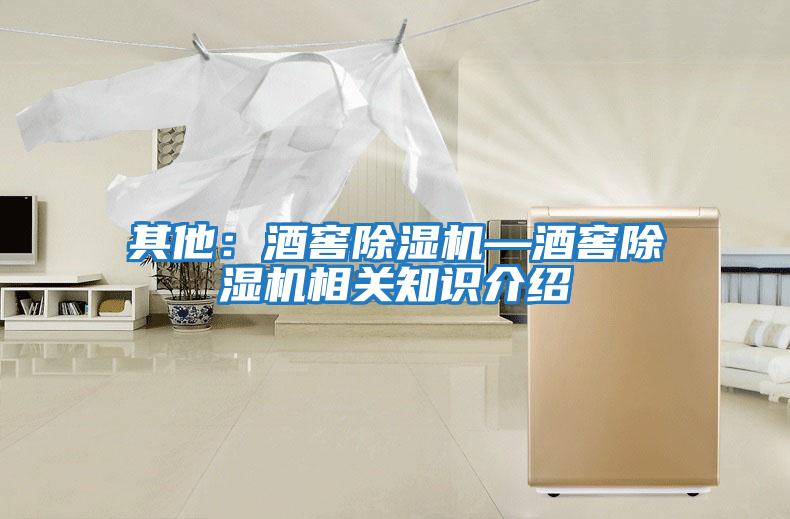 其他:酒窖除濕機—酒窖除濕機相關(guān)知識介紹