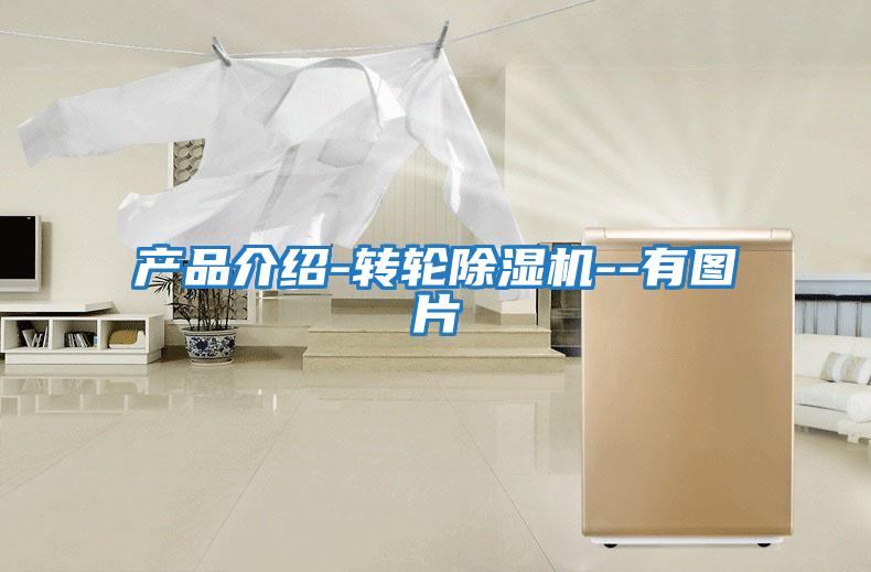產品介紹-轉輪除濕機--有圖片
