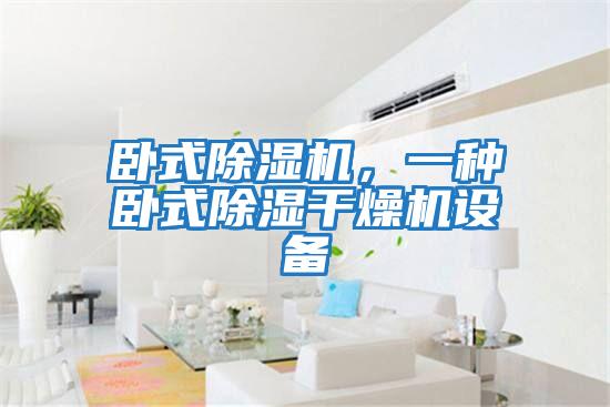 臥式除濕機,一種臥式除濕干燥機設備