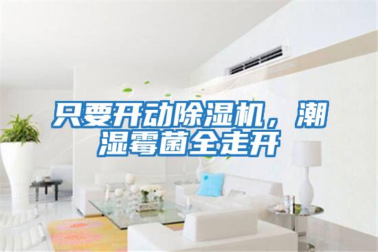 只要開(kāi)動(dòng)除濕機(jī)，潮濕霉菌全走開(kāi)