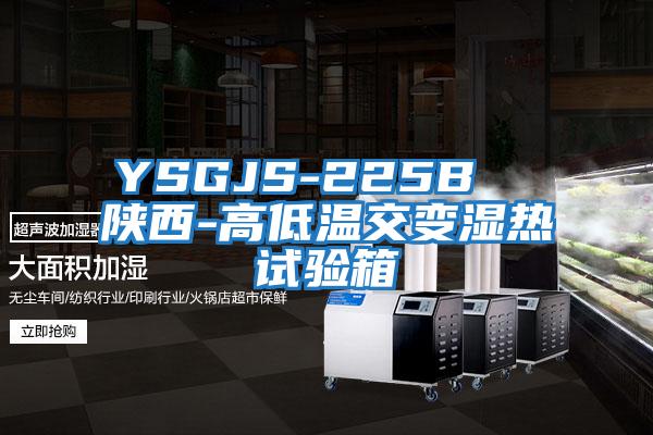 YSGJS-225B 陜西-高低溫交變濕熱試驗箱