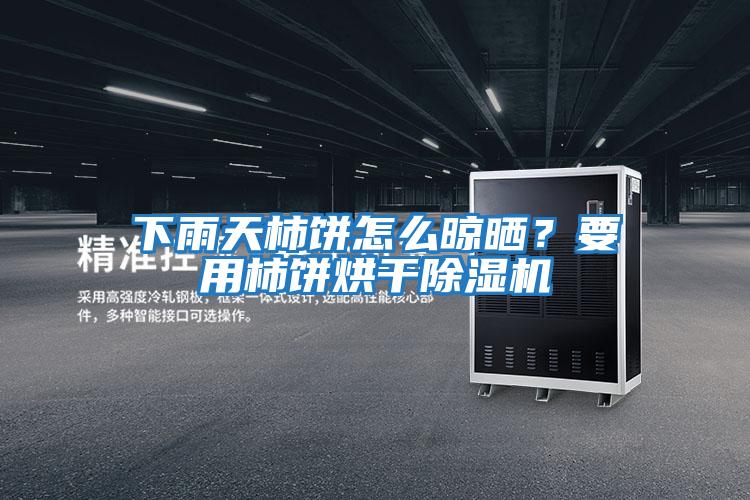 下雨天柿餅怎么晾曬？要用柿餅烘干除濕機