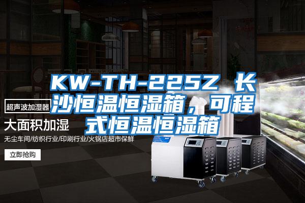 KW-TH-225Z 長沙恒溫恒濕箱，可程式恒溫恒濕箱