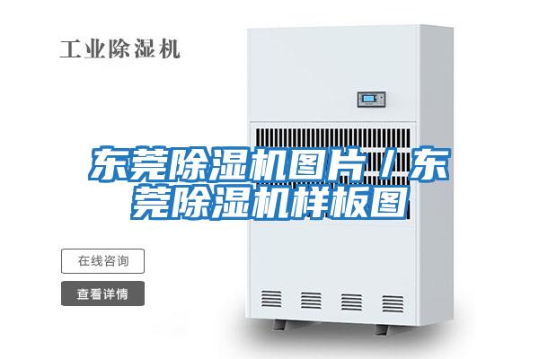 東莞除濕機(jī)圖片/東莞除濕機(jī)樣板圖