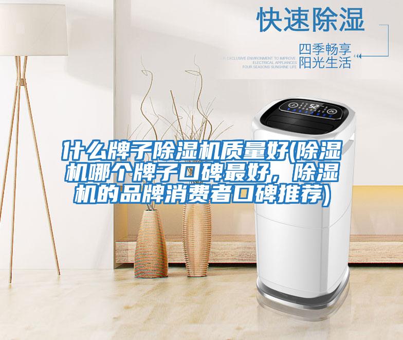 什么牌子除濕機質(zhì)量好(除濕機哪個牌子口碑最好，除濕機的品牌消費者口碑推薦)