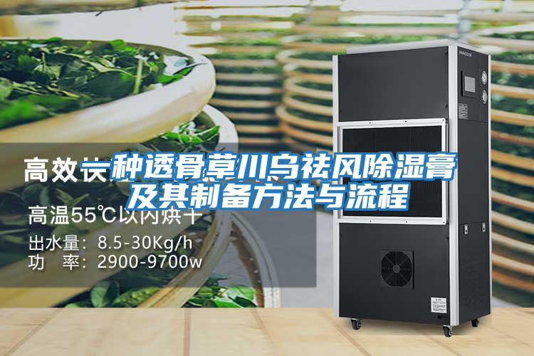 一種透骨草川烏祛風除濕膏及其制備方法與流程