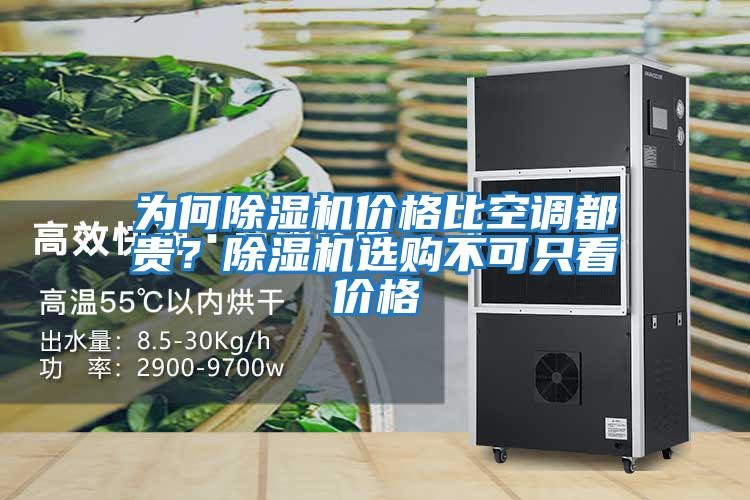 為何除濕機(jī)價(jià)格比空調(diào)都貴？除濕機(jī)選購(gòu)不可只看價(jià)格