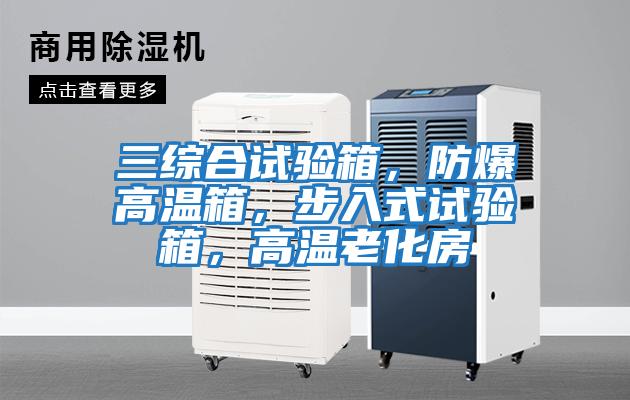 三綜合試驗箱，防爆高溫箱，步入式試驗箱，高溫老化房