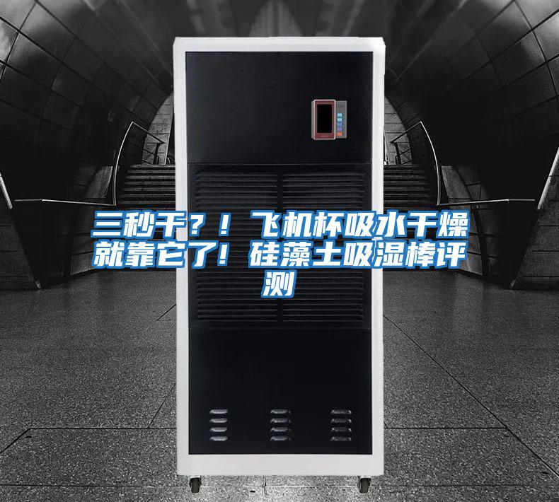 三秒干？! 飛機杯吸水干燥就靠它了! 硅藻土吸濕棒評測