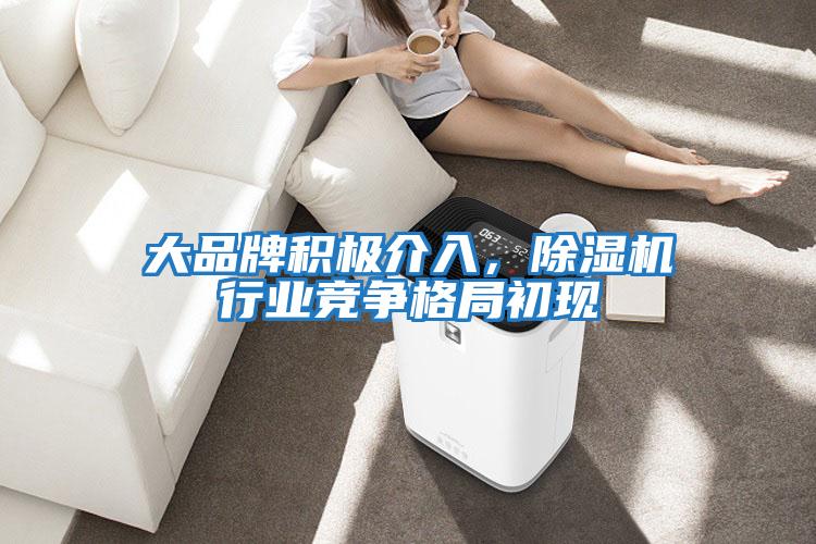 大品牌積極介入,除濕機行業競爭格局初現