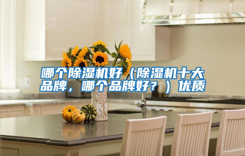 哪個除濕機好（除濕機十大品牌，哪個品牌好？）優質