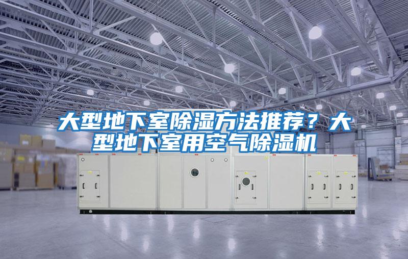 大型地下室除濕方法推薦？大型地下室用空氣除濕機