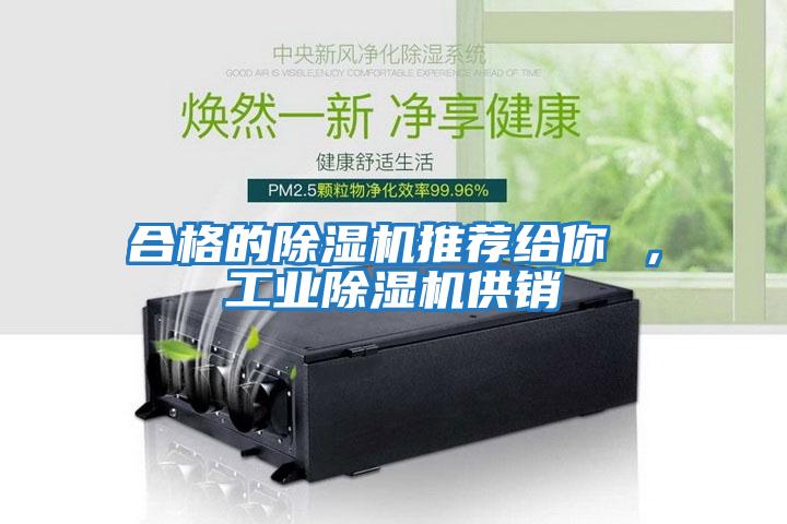 合格的除濕機推薦給你 ，工業(yè)除濕機供銷
