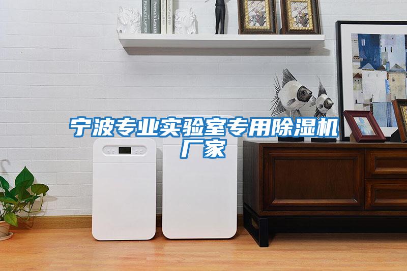 寧波專業實驗室專用除濕機廠家