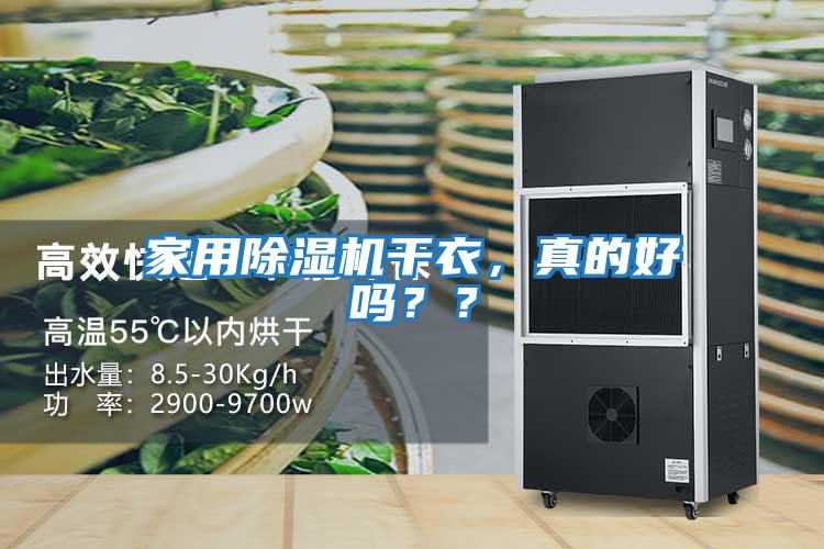 家用除濕機干衣，真的好嗎？？